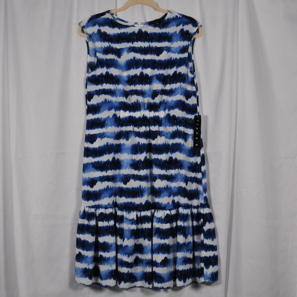 Tiana B. Blue and White Sleeveless Dress Size 8 never worn tags attached